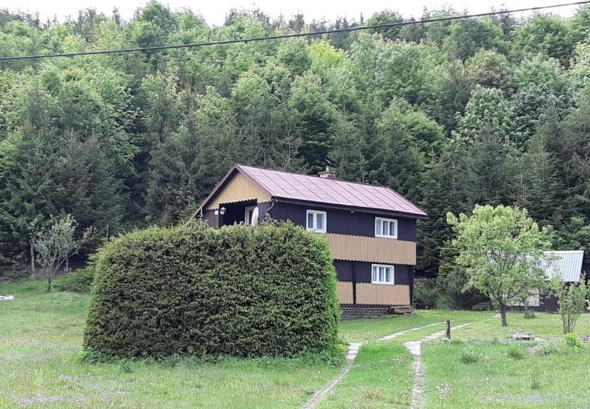 Villa Fleurs De Myto Mýto pod Ďumbierom Exterior foto